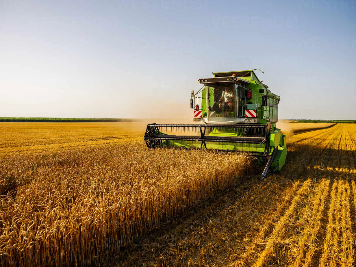 Easyapp combine-harvesting-field-of-wheat-NOF00148